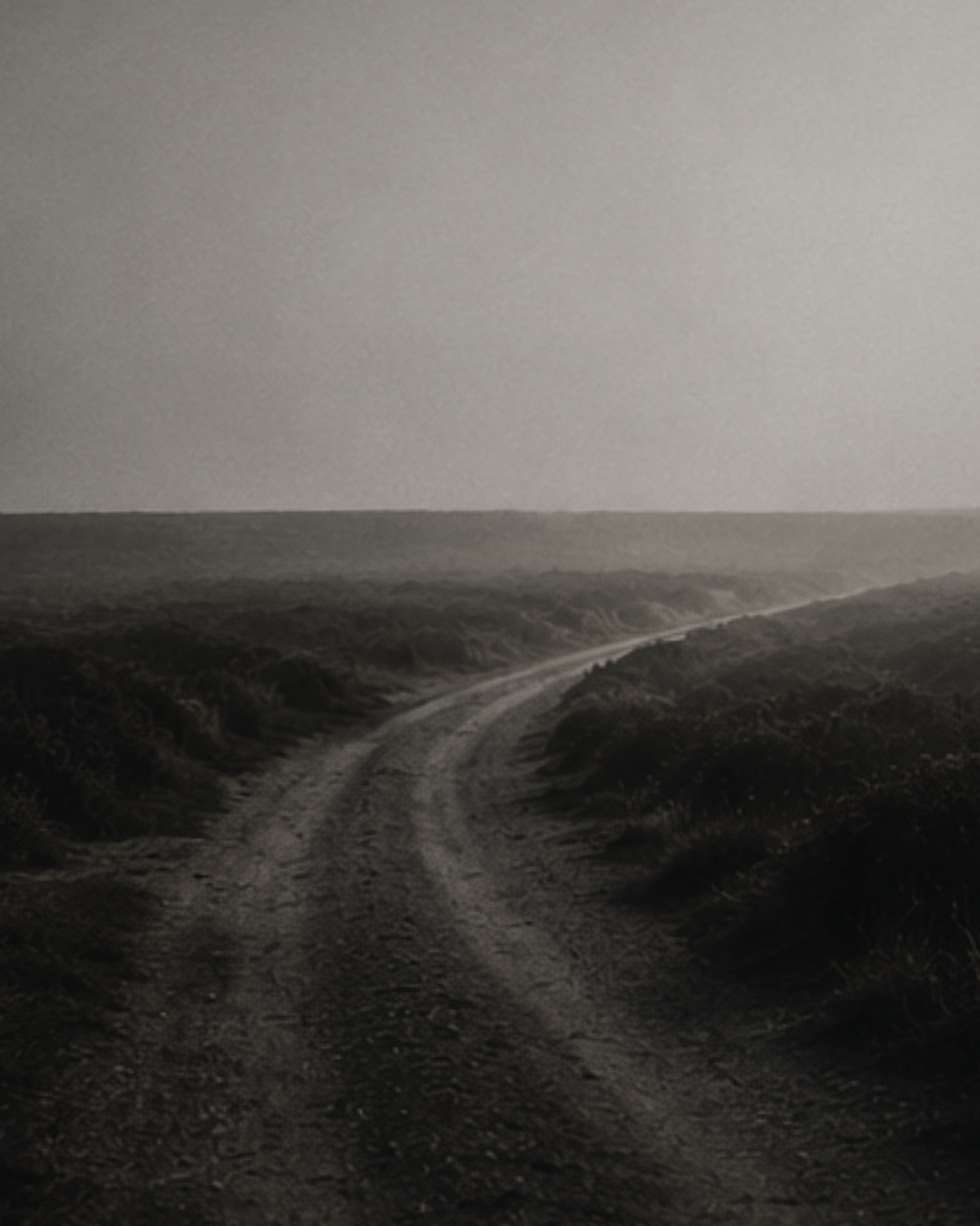 Eine offene Straße durch eine ruhige Landschaft